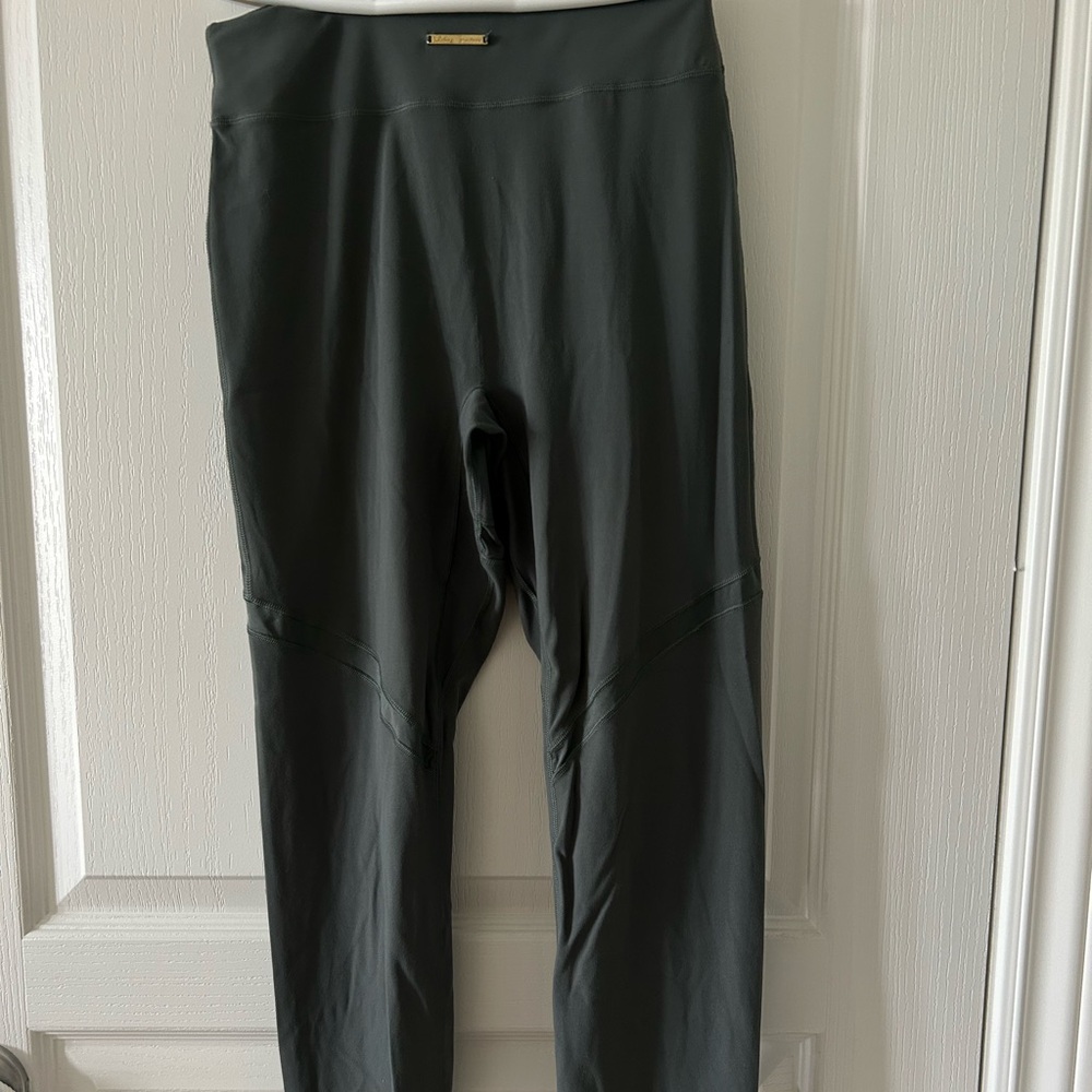 Gymshark Whitney mesh leggings